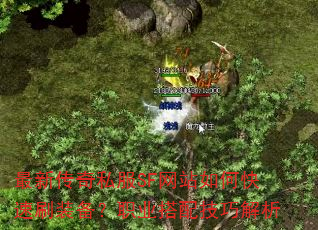 最新传奇私服SF网站如何快速刷装备?职业搭配技巧解析 最新传奇私服SF网站如何快速刷装备?职业搭配技巧解析