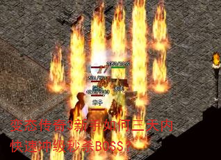 变态传奇3新手如何三天内快速冲级秒杀BOSS? 变态传奇3新手如何三天内快速冲级秒杀BOSS?