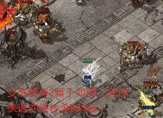 变态传奇3新手如何三天内快速冲级秒杀BOSS? 变态传奇3新手如何三天内快速冲级秒杀BOSS?