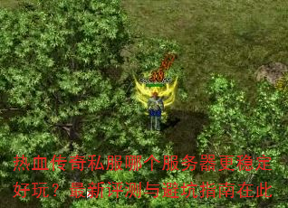 热血传奇私服哪个服务器更稳定好玩?最新评测与避坑指南在此 热血传奇私服哪个服务器更稳定好玩?最新评测与避坑指南在此