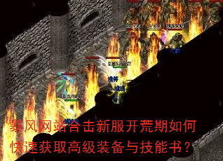 暴风网站合击新服开荒期如何快速获取高级装备与技能书? 暴风网站合击新服开荒期如何快速获取高级装备与技能书?