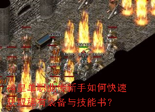 神皇单职业传新手如何快速获取稀有装备与技能书? 神皇单职业传新手如何快速获取稀有装备与技能书?
