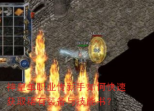 神皇单职业传新手如何快速获取稀有装备与技能书? 神皇单职业传新手如何快速获取稀有装备与技能书?