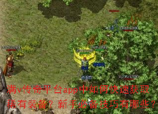 满v传奇平台app中如何快速获取稀有装备?新手必备技巧有哪些? 满v传奇平台app中如何快速获取稀有装备?新手必备技巧有哪些?