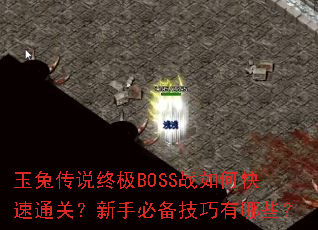 玉兔传说终极BOSS战如何快速通关?新手必备技巧有哪些? 玉兔传说终极BOSS战如何快速通关?新手必备技巧有哪些?