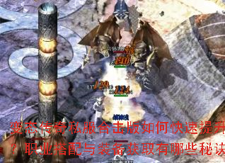 变态传奇私服合击版如何快速提升战力?职业搭配与装备获取有哪些秘诀? 变态传奇私服合击版如何快速提升战力?职业搭配与装备获取有哪些秘诀?