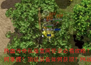 Ѫ˽¼ؿԣգװλȡPKսʤ