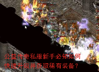 公益传奇私服新手必知如何快速升级并获取稀有装备? 公益传奇私服新手必知如何快速升级并获取稀有装备?