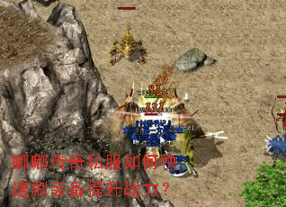 �ུ���˽����ο���ˢװ������ս����