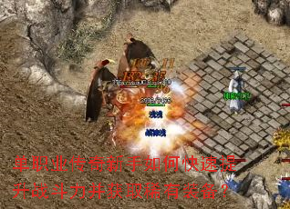 ��ְҵ����������ο�������ս��������ȡϡ��װ����