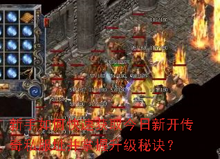 ������ο��ٻ�ȡ�����¿�����˽��ַ�����������ؾ���