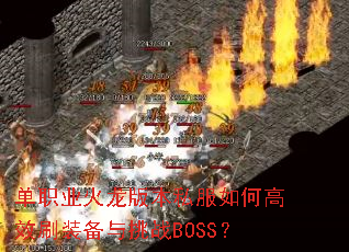 ��ְҵ�����汾˽����θ�Чˢװ������սBOSS��