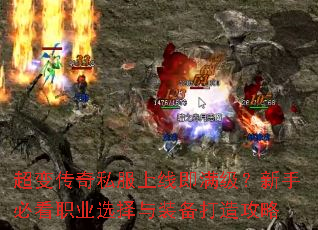 ���䴫��˽�����߼����������ֱؿ�ְҵѡ����װ�����칥��