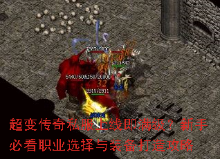 ���䴫��˽�����߼����������ֱؿ�ְҵѡ����װ�����칥��