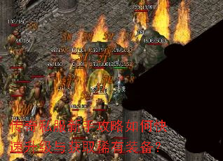 ����˽�����ֹ�����ο����������ȡϡ��װ����