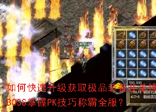 ��ο���������ȡ��Ʒװ��������BOSS����PK���ɳư�ȫ����