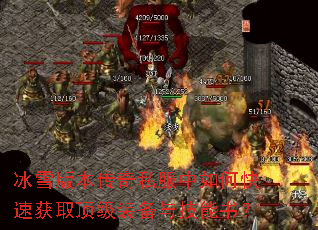 ��ѩ�汾����˽������ο��ٻ�ȡ����װ���뼼���飿