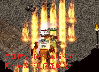 ��Ѫ����sfһ�������������ѡ������������