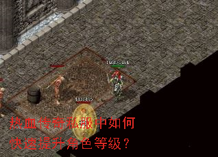 ��Ѫ����˽������ο���������ɫ�ȼ���