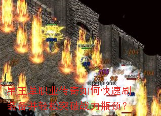 ������ְҵ������ο���ˢװ��������ͻ��ս��ƿ����