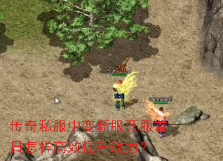 ����˽���б��·���������������Ч����ս����