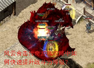 ���ƺϻ�������Ϸ��������ο�������ս�����ȼ���