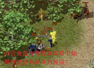 ���ƺϻ�������Ϸ��������ο�������ս�����ȼ���