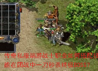 ����˽������սʿְҵ��δ��似�ܲ�������ս��һ����ɱ�ռ�BOSS��