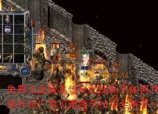 ��ѻ����汾����˽��������ο������������������뼼��ȫ���