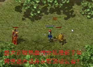 ʢ��������Ѫ����˽��������ο�����������ȡ����װ����