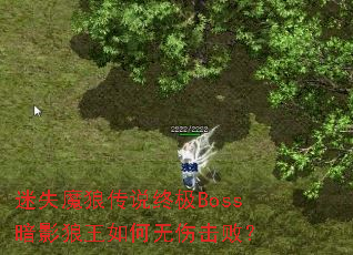 ��ʧħ�Ǵ�˵�ռ�Boss��Ӱ����������˻��ܣ�