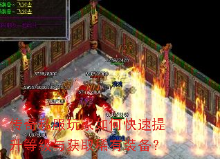 ����˽�������ο��������ȼ����ȡϡ��װ����