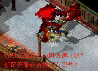 ����˽��������ο��ٳ弶�����������ر���������Щ��