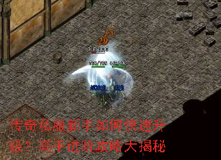 ����˽��������ο������������ֽ��׹��Դ����