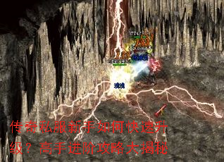 ����˽��������ο������������ֽ��׹��Դ����