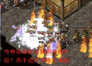 ����˽��������ο������������ֽ��׹��Դ����