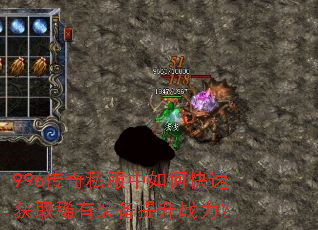 996����˽������ο��ٻ�ȡϡ��װ������ս����