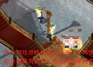 ������Ϸ�����ؼ��󹫿�����ο���������������ȡϡ��װ�����ռ�BOSS��λ��ܣ�