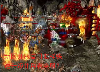 ���������������������������ư�ȫ����