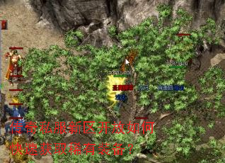 ����˽������������ο��ٻ�ȡϡ��װ����