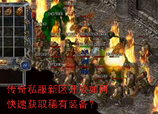 ����˽������������ο��ٻ�ȡϡ��װ����