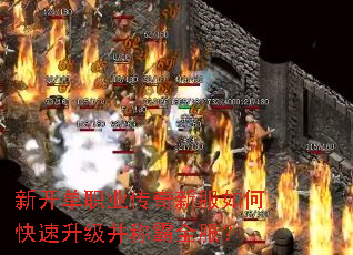 �¿���ְҵ�����·���ο����������ư�ȫ����