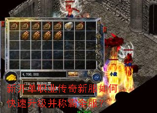 �¿���ְҵ�����·���ο����������ư�ȫ����