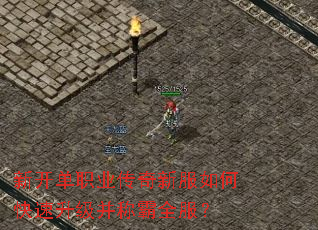 �¿���ְҵ�����·���ο����������ư�ȫ����