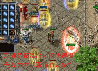 �¿�����˽����ο�������ս������ȡϡ��װ����