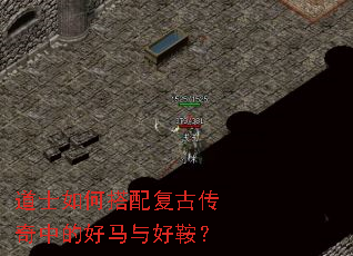 ��ʿ��δ��临�Ŵ����еĺ�����ð���