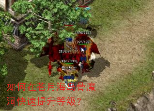 ����ڲ��º�����ħ�����������ȼ���