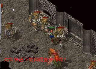 ��ο���������ͨ���Ŵ��棿