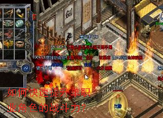 ��ο���������ְҵ��ɫ��ս������