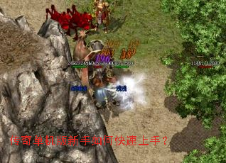 ���浥����������ο������֣�